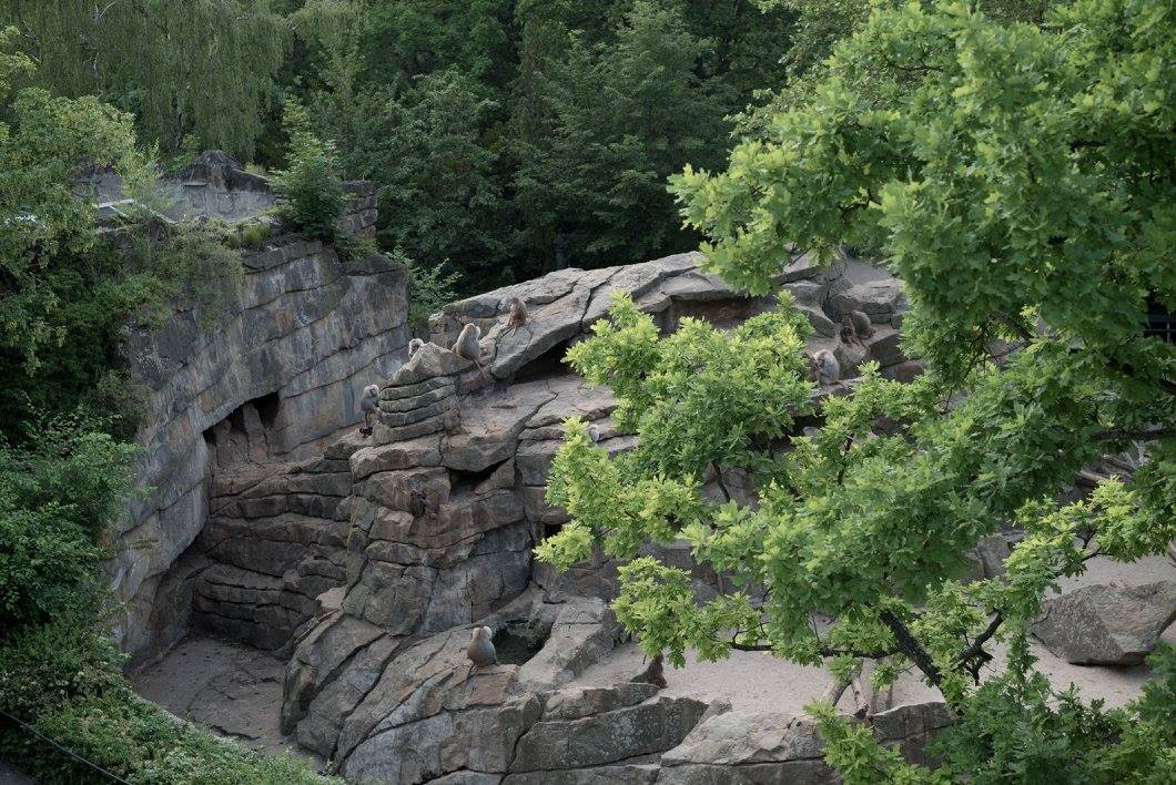 Bikini Berlin 2016 - 12